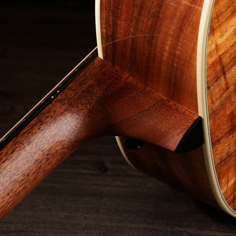 Acoustic／ SeriesギターTaylor Guitars